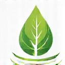 Eco-Friendly Practices Icon